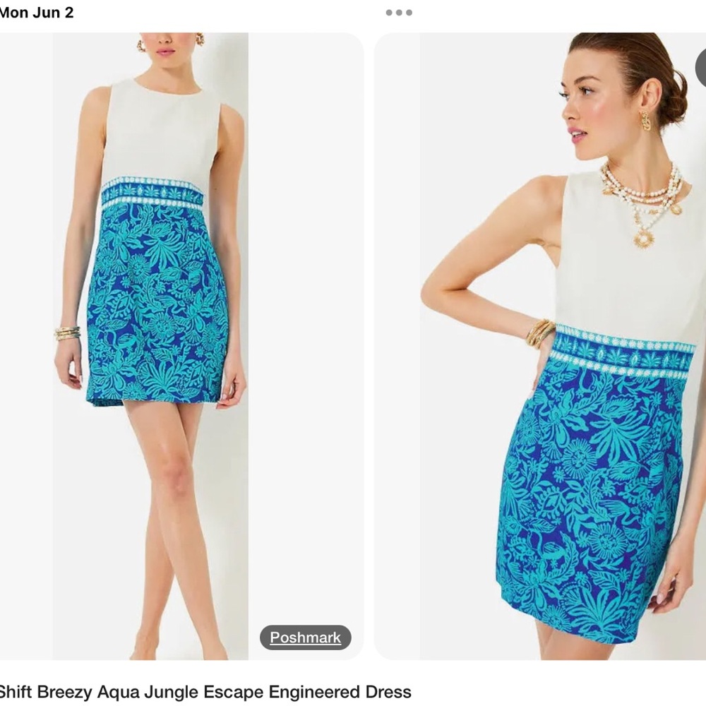 COPY - Lilly Pulitzer Cream and Blue Floral Dress